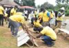 Y’ello Care 2026: MTN Staff Begin Community Volunteer Activities