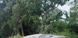 BuzStop Boys Survive Deadly Car Crash On Suhum-Nsawam Road