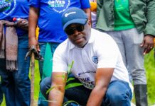 Stanbic Bank Expands Green Agenda Through 50,000 Tree Planting Initiative