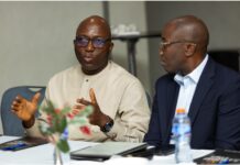 Tokenisation Key To Future Of Digital Financial Services—Mobile Money Fintech CEO