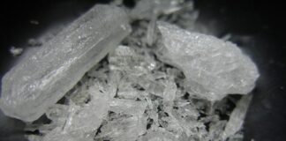 NACOC Detains Two Energy Commission Officials As Probe Into Meth-Infused Charcoal Export Takes Shape