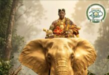 Akuapem Traditional Area Set For The Biggest 200 Year Milestone Odwira Festival 2026