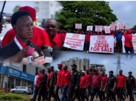 Another Rogue Brigade Of “Create, Loot And Share”: Ghanaians Must Resist Greedy Oppressors Bent On Selling VALCO