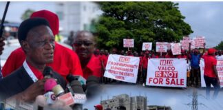 Another Rogue Brigade Of “Create, Loot And Share”: Ghanaians Must Resist Greedy Oppressors Bent On Selling VALCO