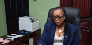 Jacqueline Oppong Mensah Leads VITO S-Class’ Technology-Driven Transformation In Vehicle Inspection