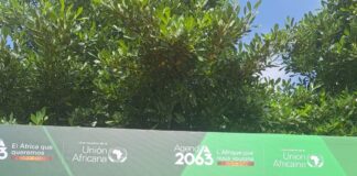 After Accra, Africa’s Health Sovereignty Needs Receipts