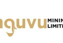 Nguvu Holdings Denies US$224M Share Fraud Allegations, Demands Immediate Retraction