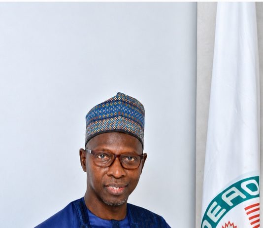 Gambian Economist Mam Cherno Jallow Assumes Leadership Of GIABA For 4-Year Term