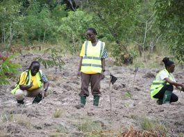 MTN Ghana Supports Chipa Forest Restoration
