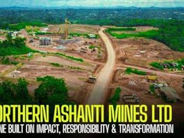 “Rambo Style” Military Seizure Of Northern Ashanti Mines, Undemocratic—Edward Enin