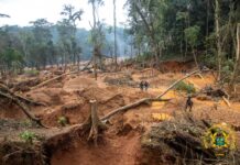 3 Arrested In Atewa Forest As NAIMOS Launches Operation Green Shield