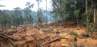 3 Arrested In Atewa Forest As NAIMOS Launches Operation Green Shield